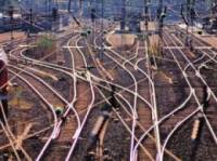 «Украинская железная дорога» может объединить все железнодорожные активы страны уже в декабре